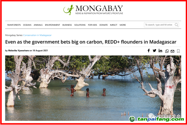 圖片來源：Mongabay