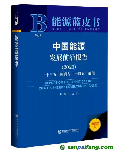 《中國能源發展前沿報告（2021）》