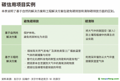 企業領導者為什么必須了解碳信用額？